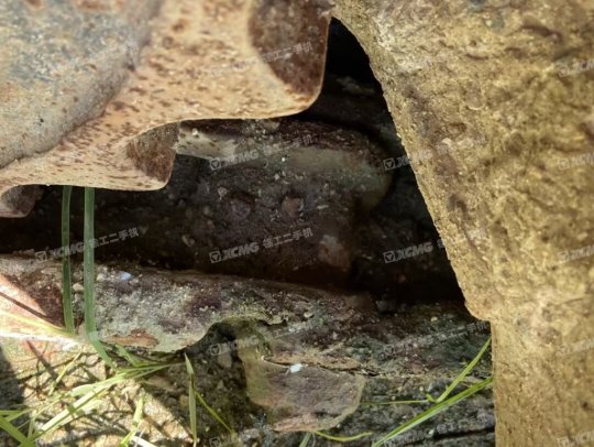 山重建機JCM913A履帶式挖掘機