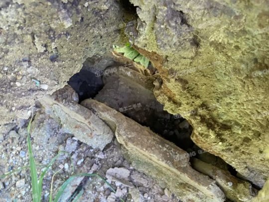 小松PC60-7履帶式挖掘機