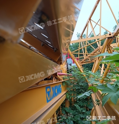 徐工XGT6015A-8S塔式起重機